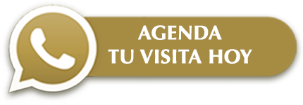 Contáctanos por WhatsApp